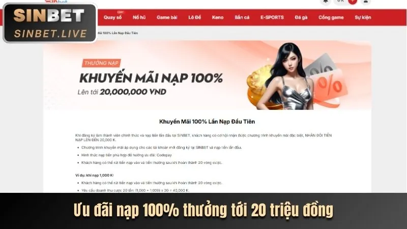 Chương trình VIP độc quyền